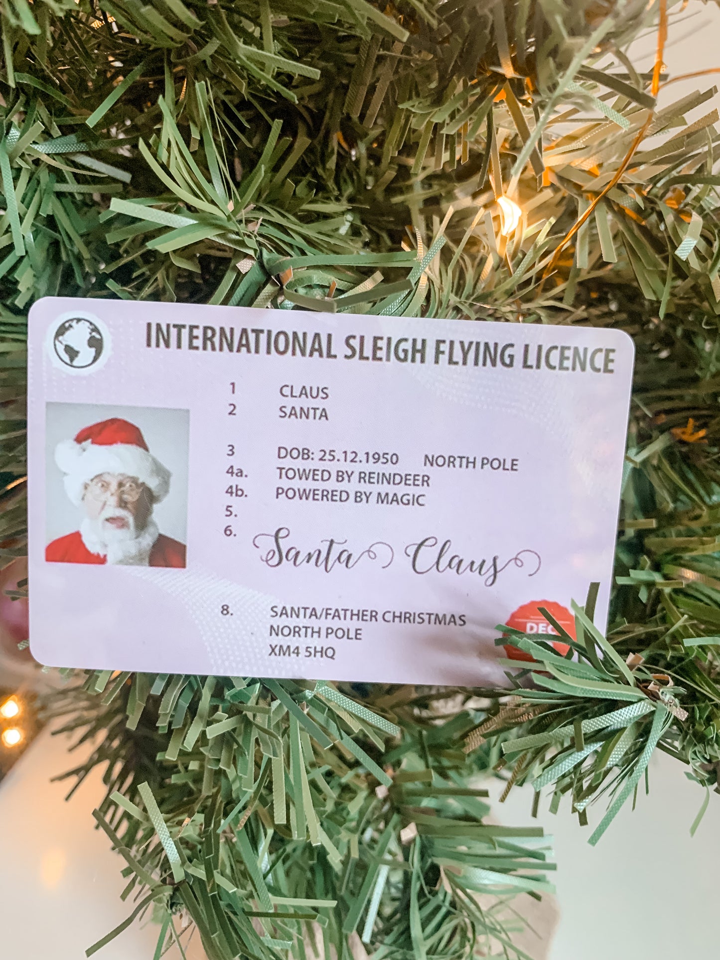 Santa flying license